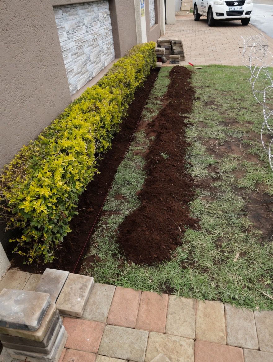 Before and after garden transformation